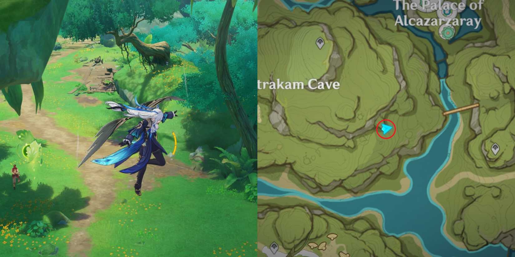 Lokapala Jungle Dendroculus Location 12