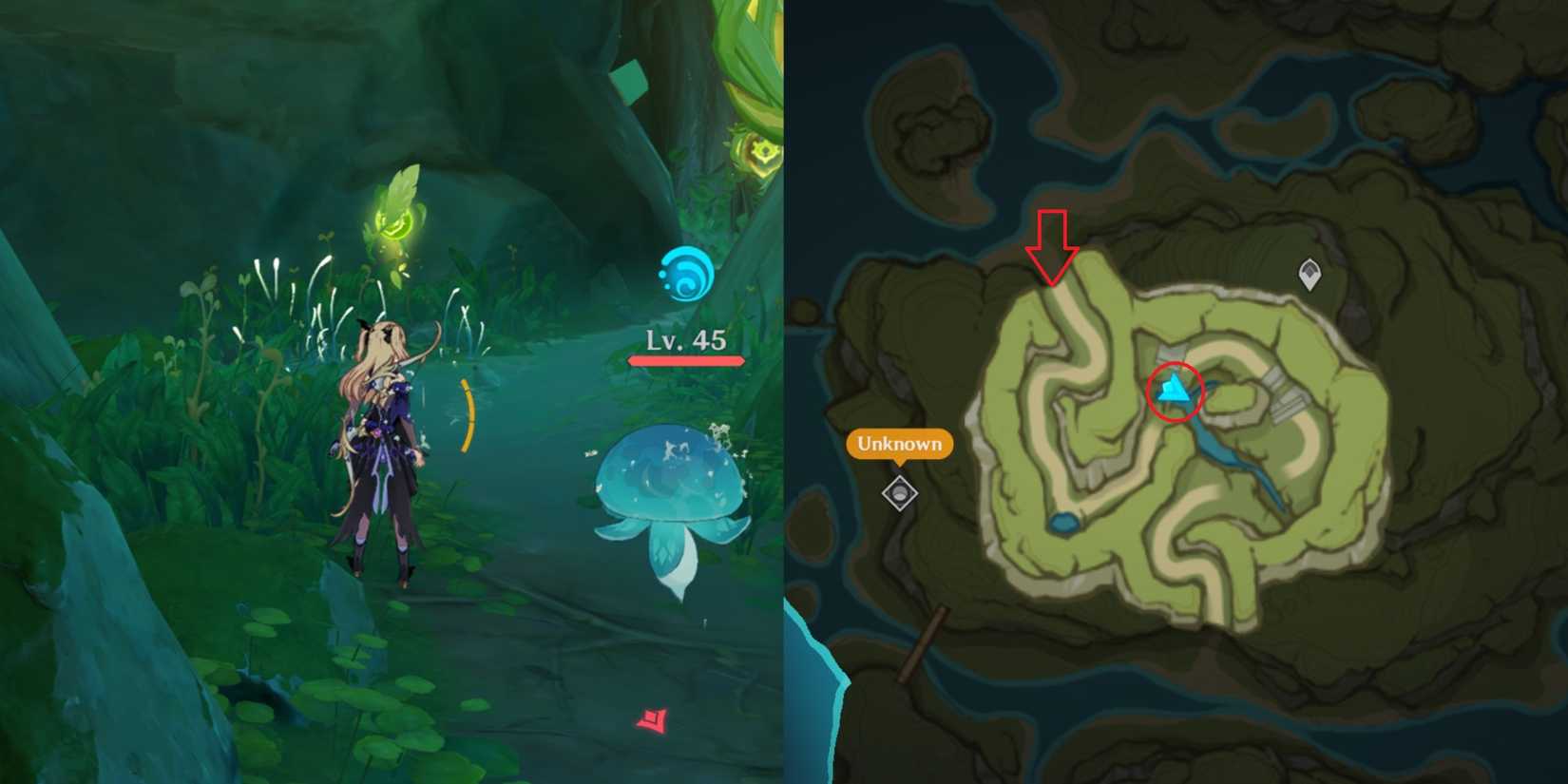 Lokapala Jungle Dendroculus Location 13