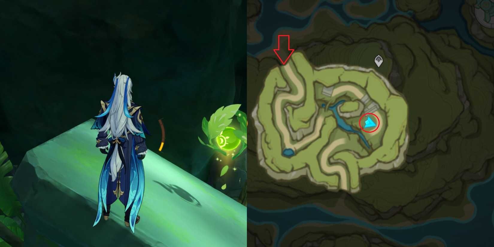 Lokapala Jungle Dendroculus Location 14