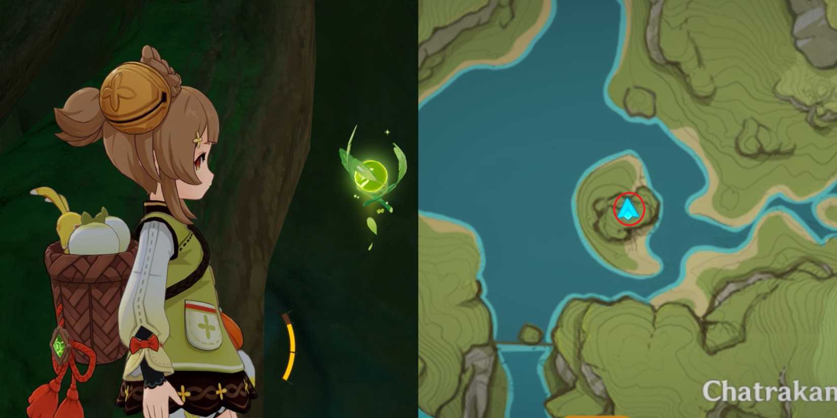 Lokapala Jungle Dendroculus Location 16