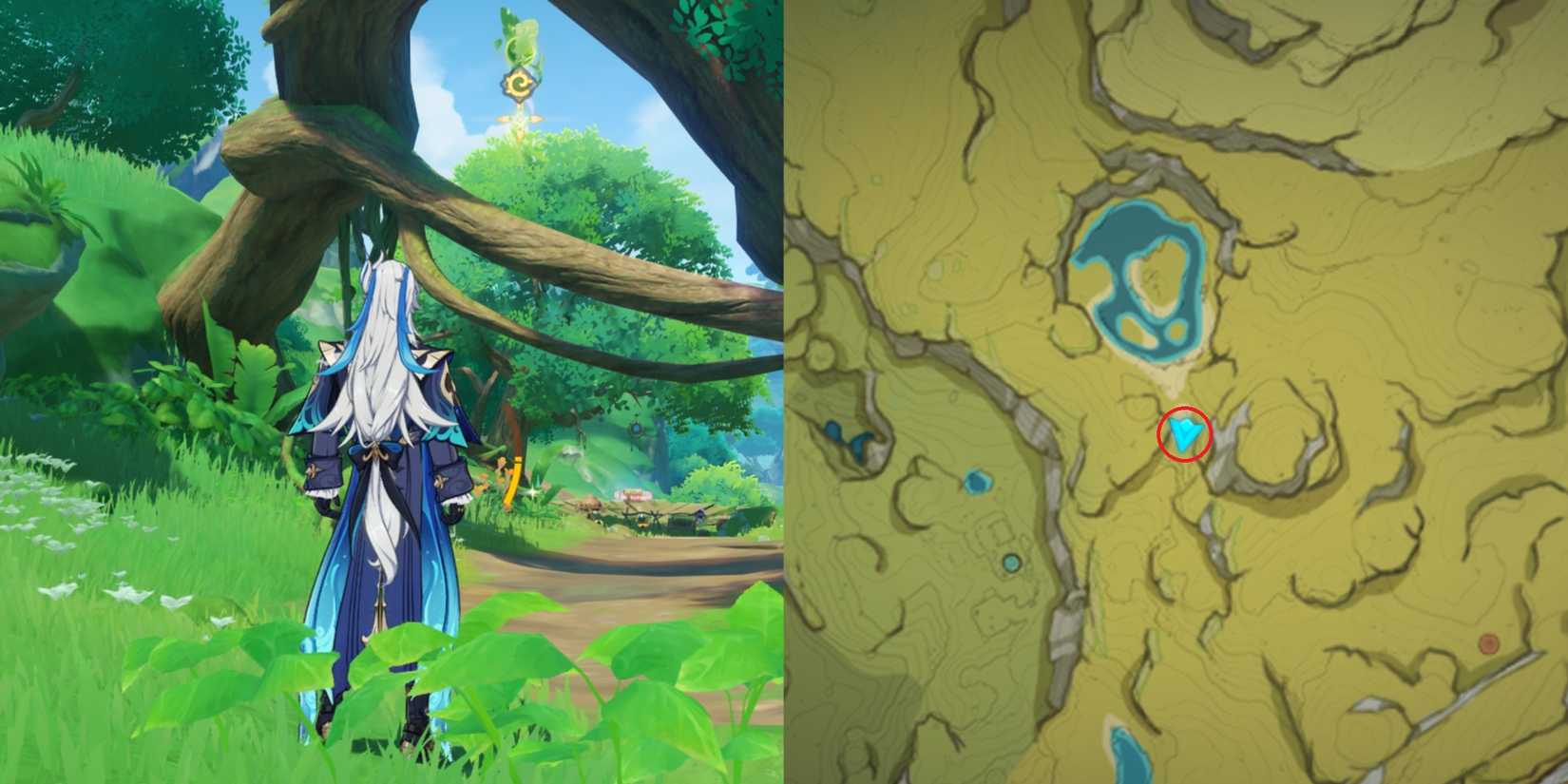 Lokapala Jungle Dendroculus Location 2