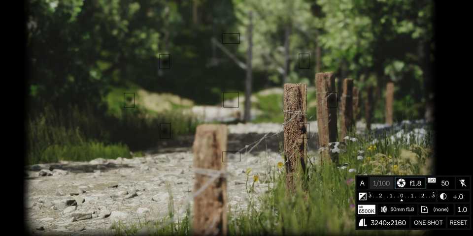 Lushfoil Photography Sim Camera