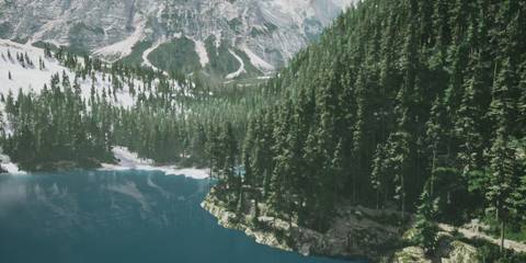 Lushfoil Photography Sim steam official image 2