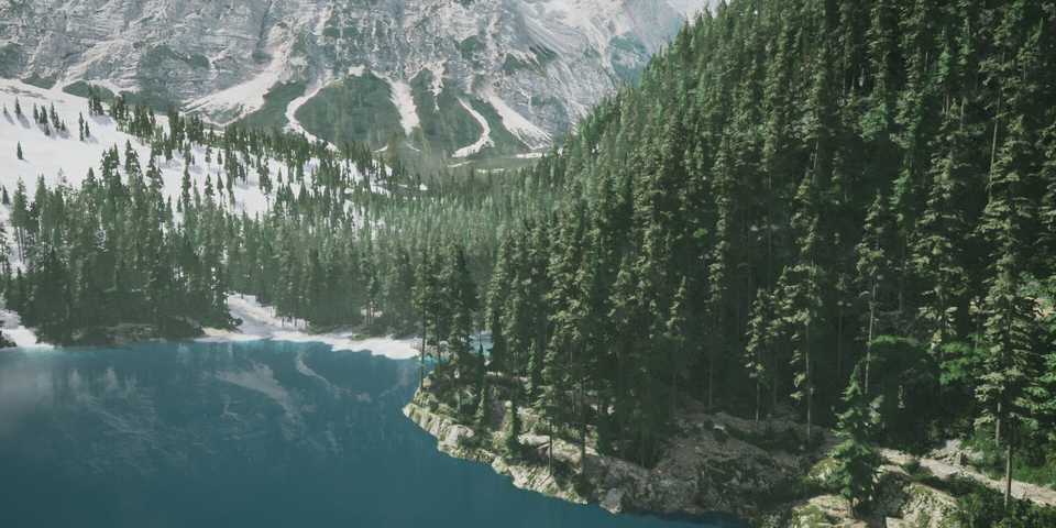 Lushfoil Photography Sim steam official image 2