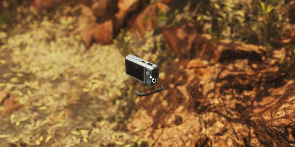 Lushfoil Photography Sim steam official image camera