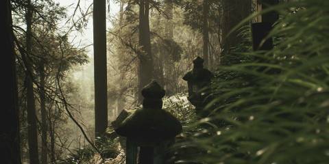 Lushfoil Photography Sim steam official image