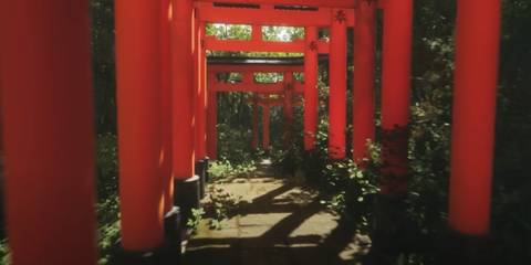 Lushfoil Photography Sim trailer