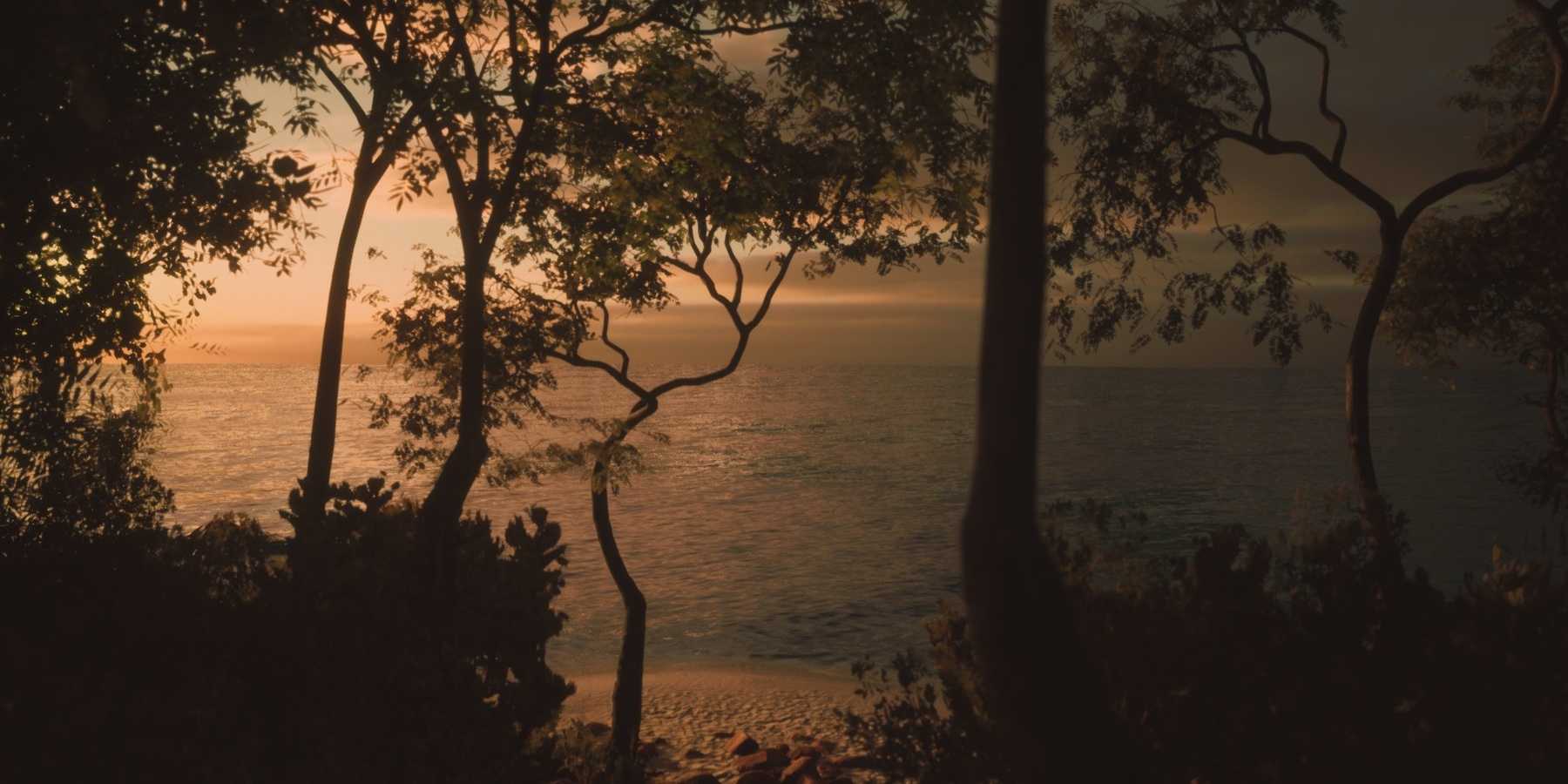 Interactive Tree Ui Best Games for Nature Photographers
