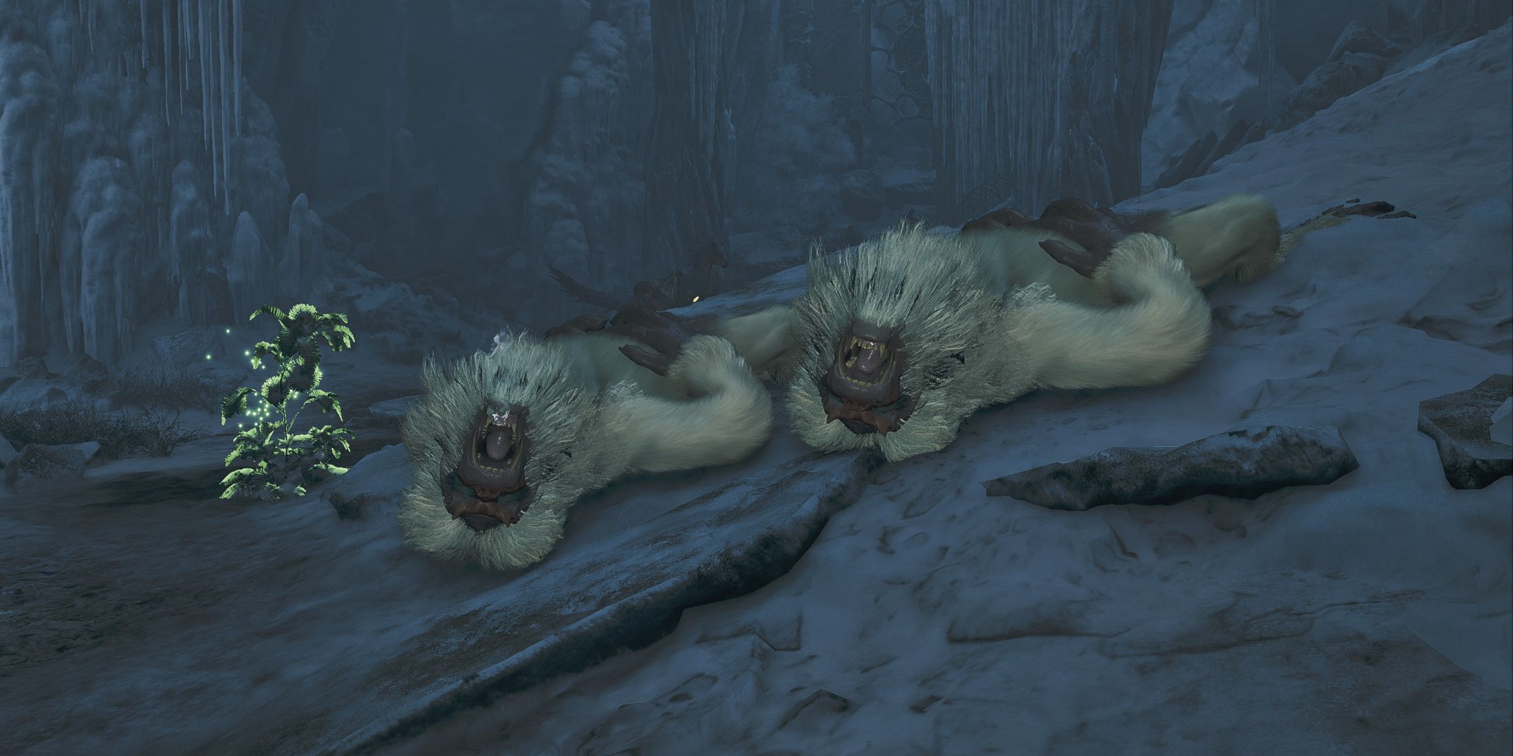 mh wilds blango pelt plus