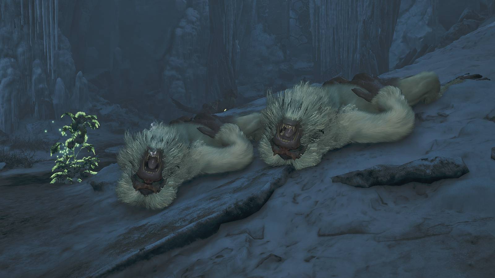 mh wilds blango pelt plus