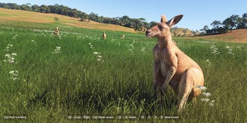 Microsoft Flight Simulator 2024 Kangaroo