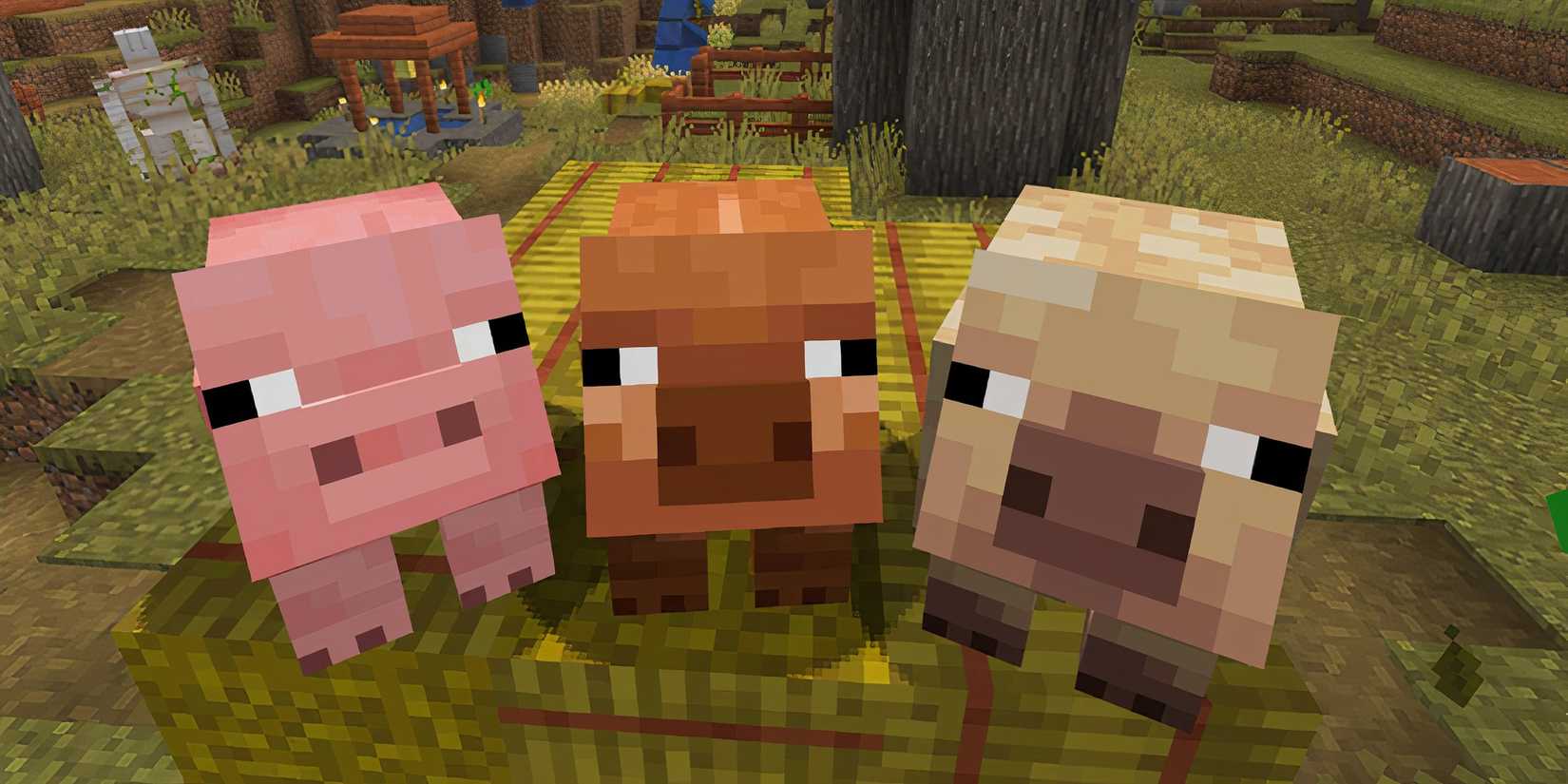 Minecraft Pig Variants