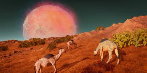 10 Best Survival Games of the 2020s So far alien creatures grazing with a large sun in background