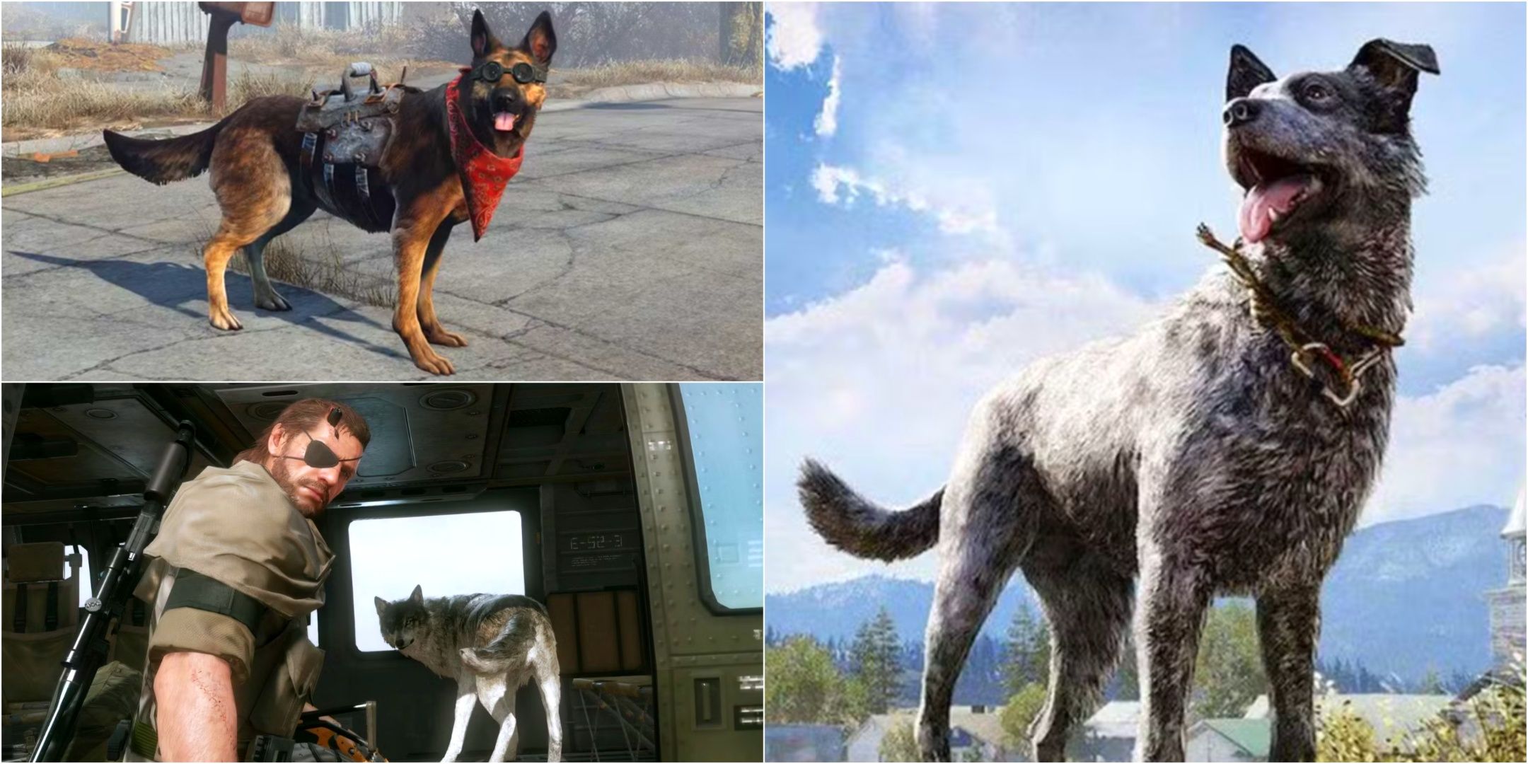 Best Open-World Games Where You Get A Dog, Ranked - feature image 1