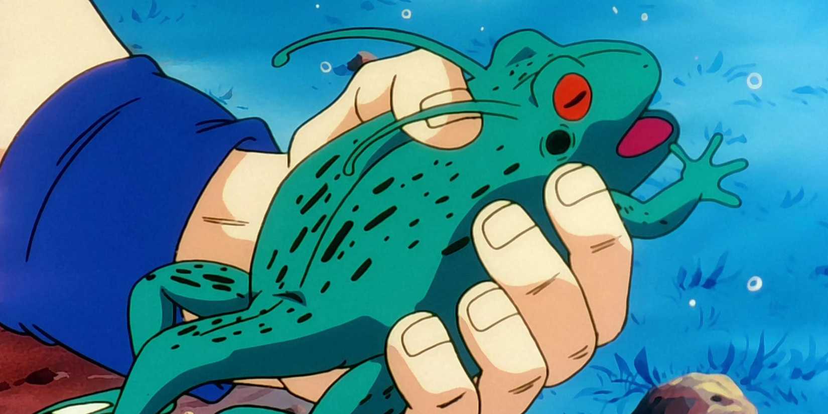 Goku holding a frog in Dragon Ball Z