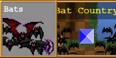 Bats Bats Bats in Bat Country