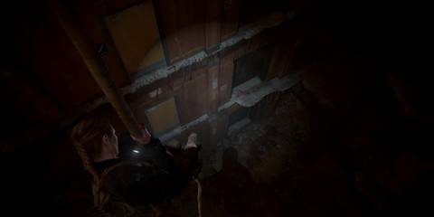 Abby descending a rope