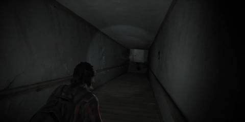 Ellie's hallucination