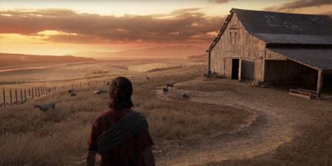 Ellie looking at the barn