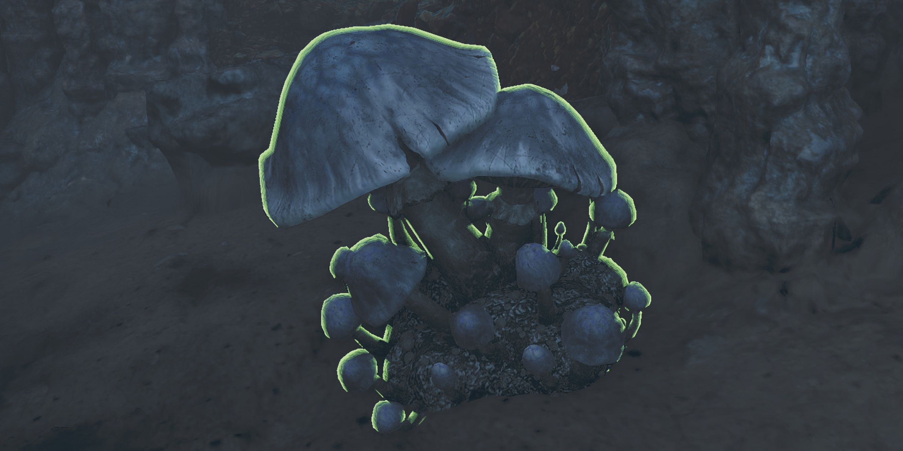 monster-hunter-wilds-chillshroom-locations