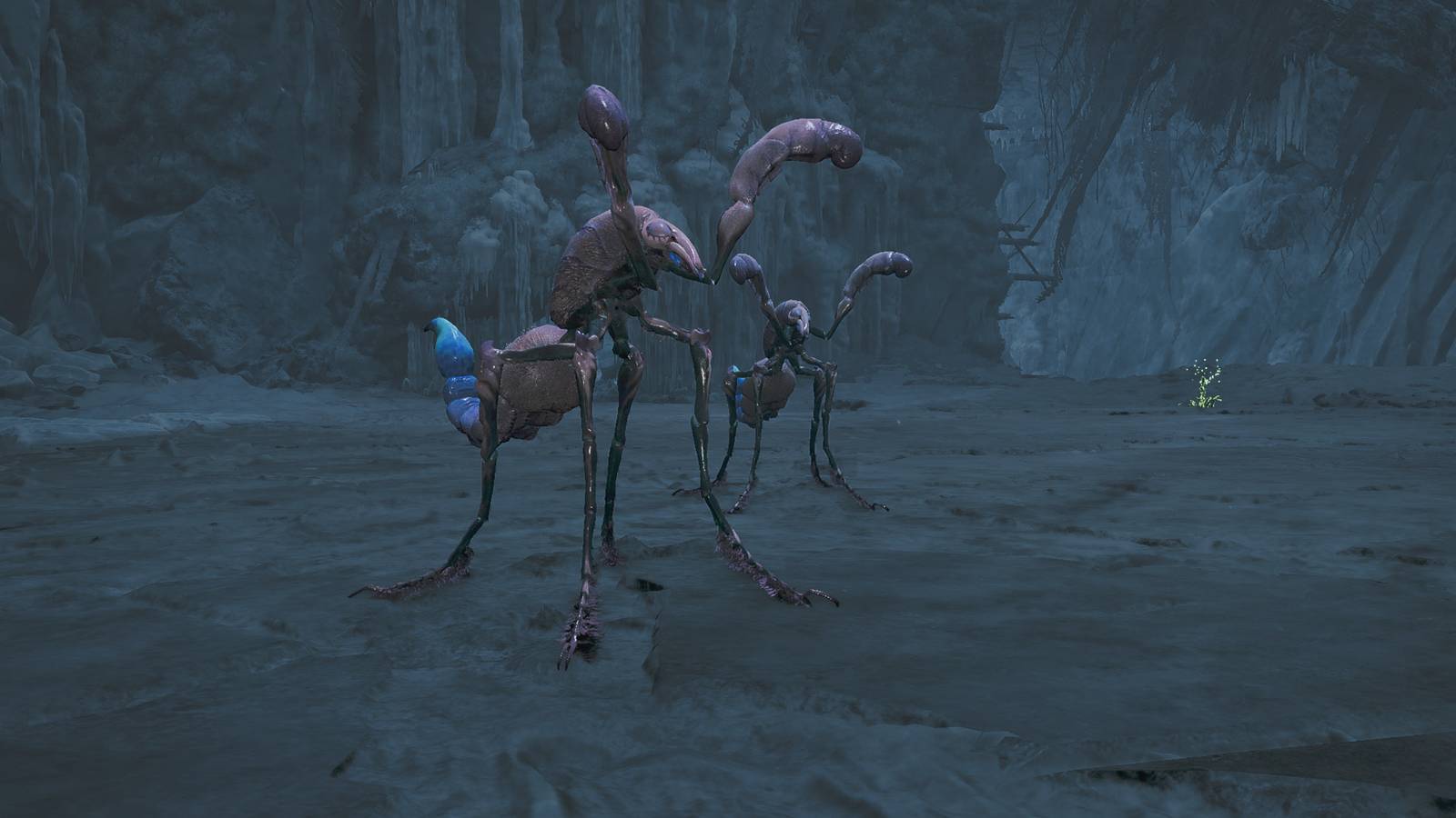 monster hunter wilds comaqchi carapace farm