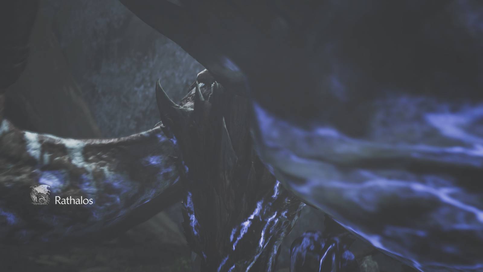 Monster-Hunter-Wilds-How-To-Defeat-Guardian-Rathalos