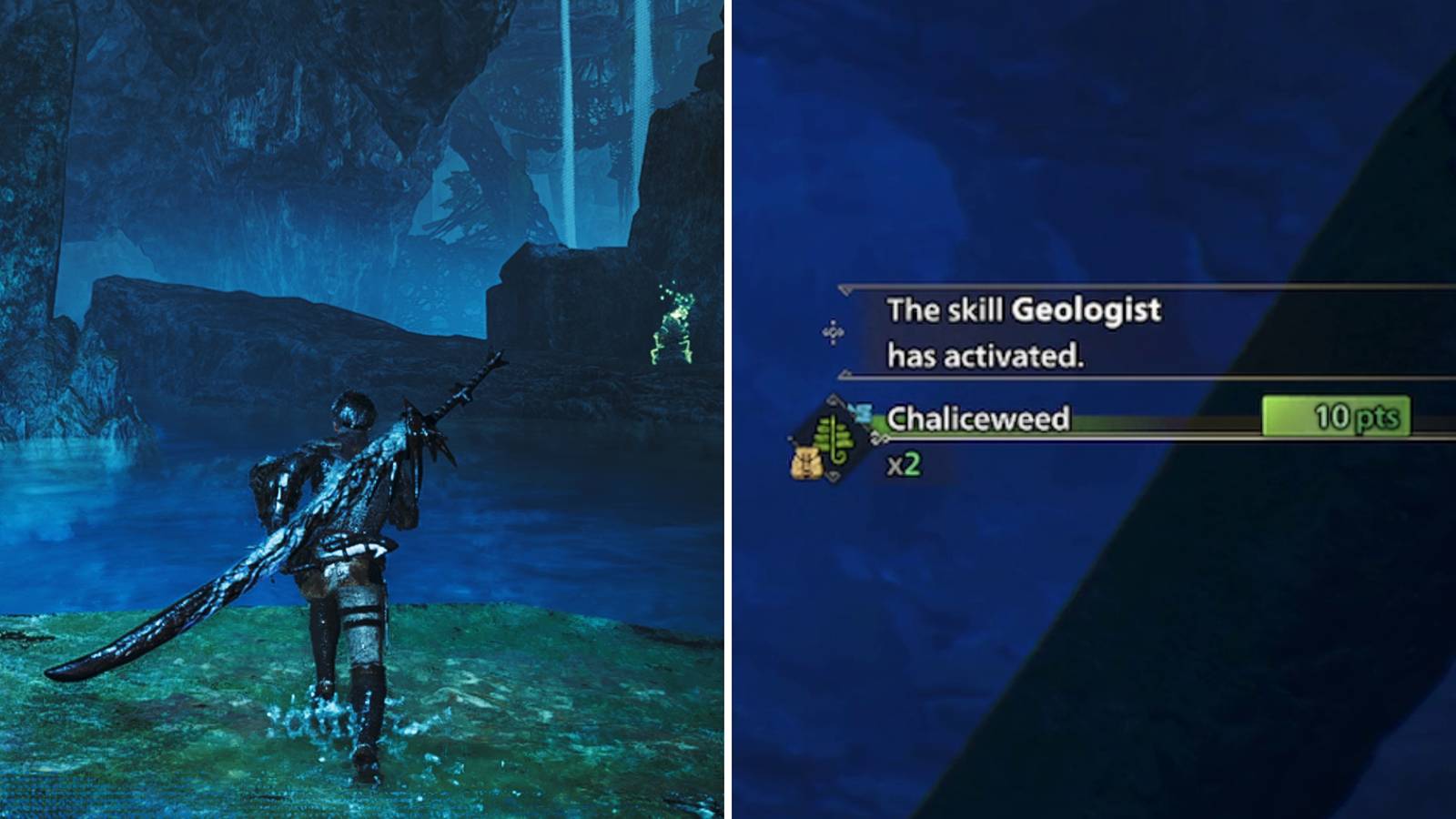 Monster Hunter Wilds How to Get Chaliceweed feature image
