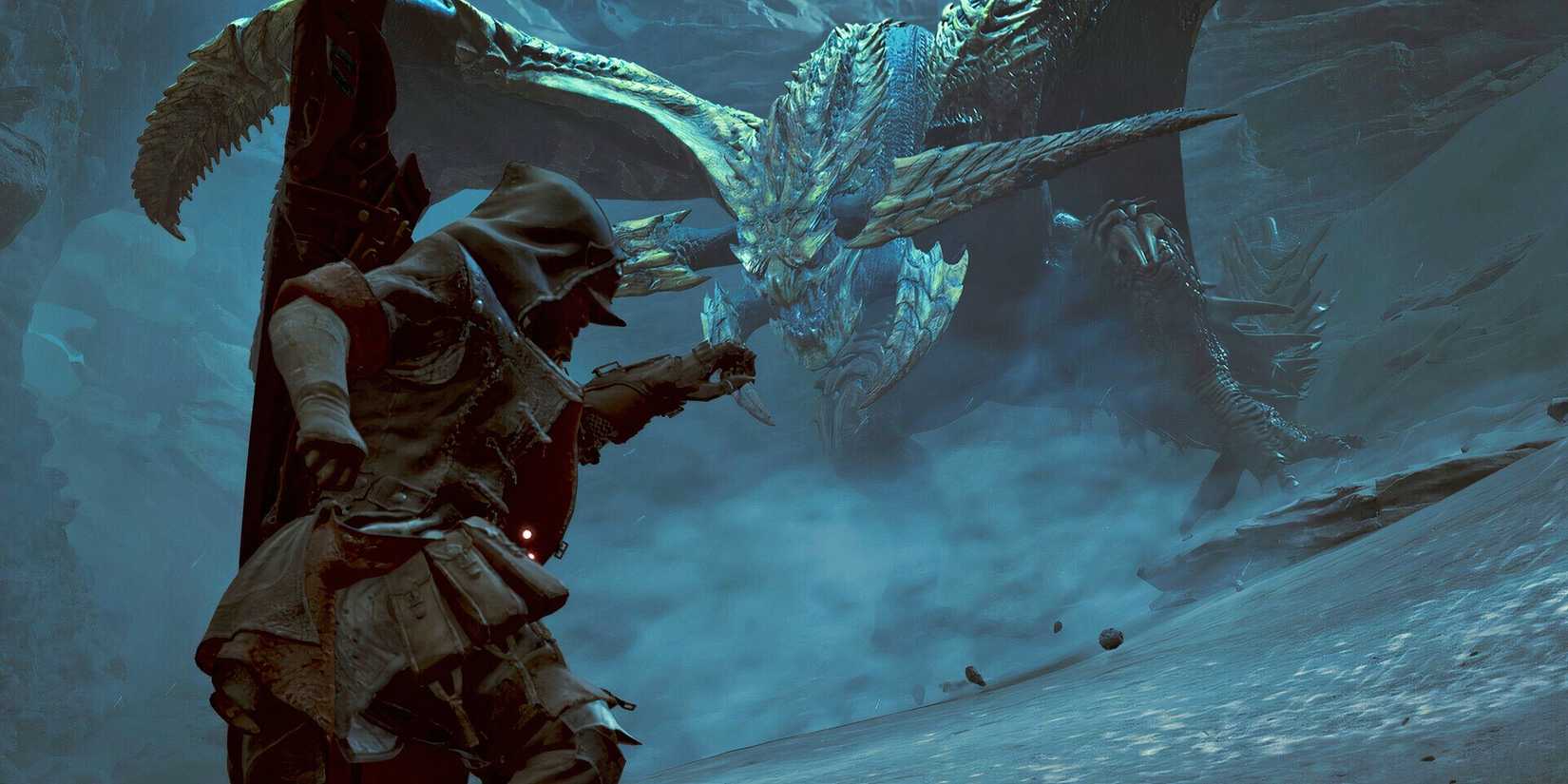 Monster Hunter Wilds fans don't want to pay for edit vouchers.