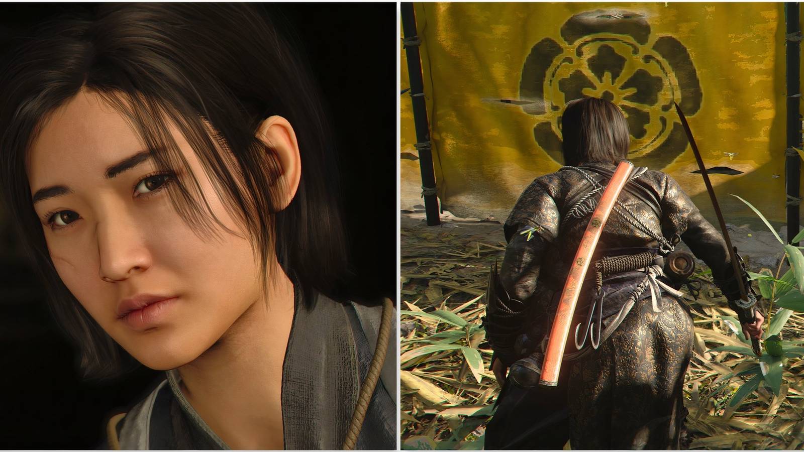 Naoe and slashing through flags in Assassin's Creed Shadows