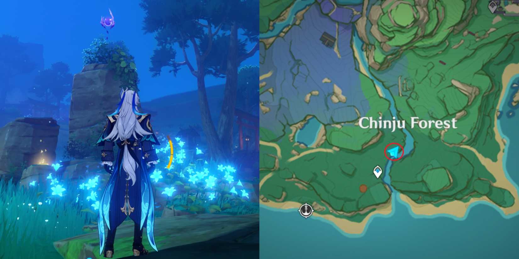 Narukami Island Electroculus Location 13