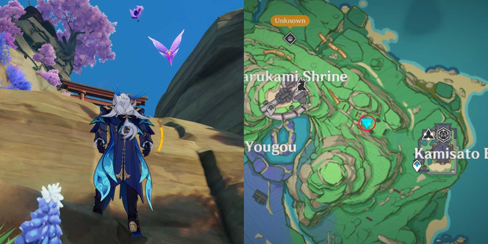 Narukami Island Electroculus Location 16