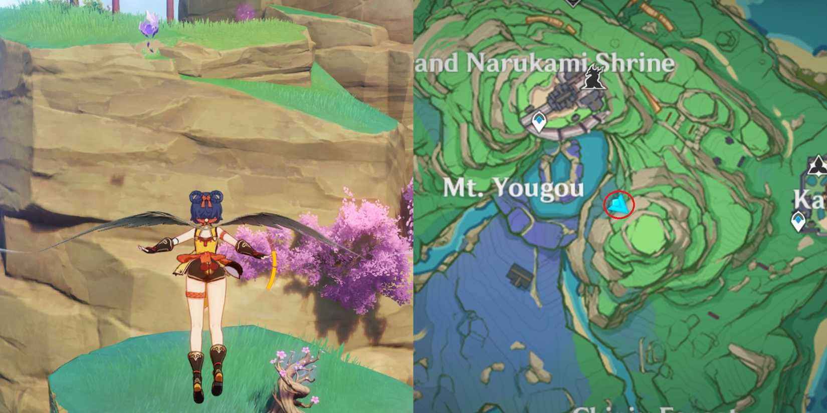 Narukami Island Electroculus Location 22