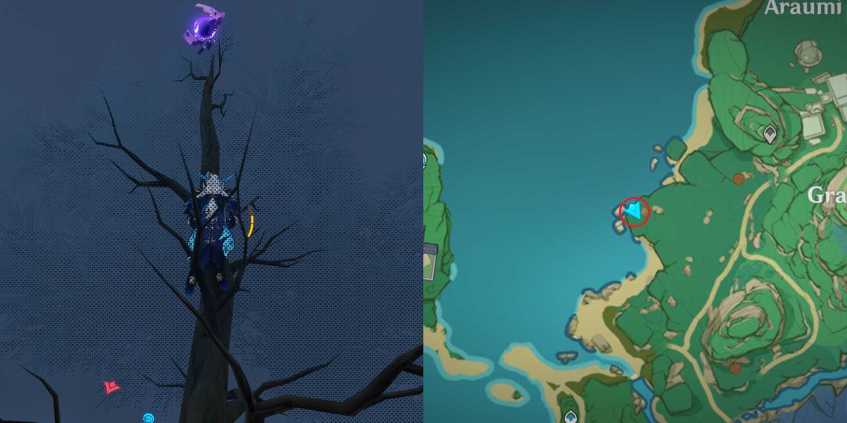 Narukami Island Electroculus Location 25