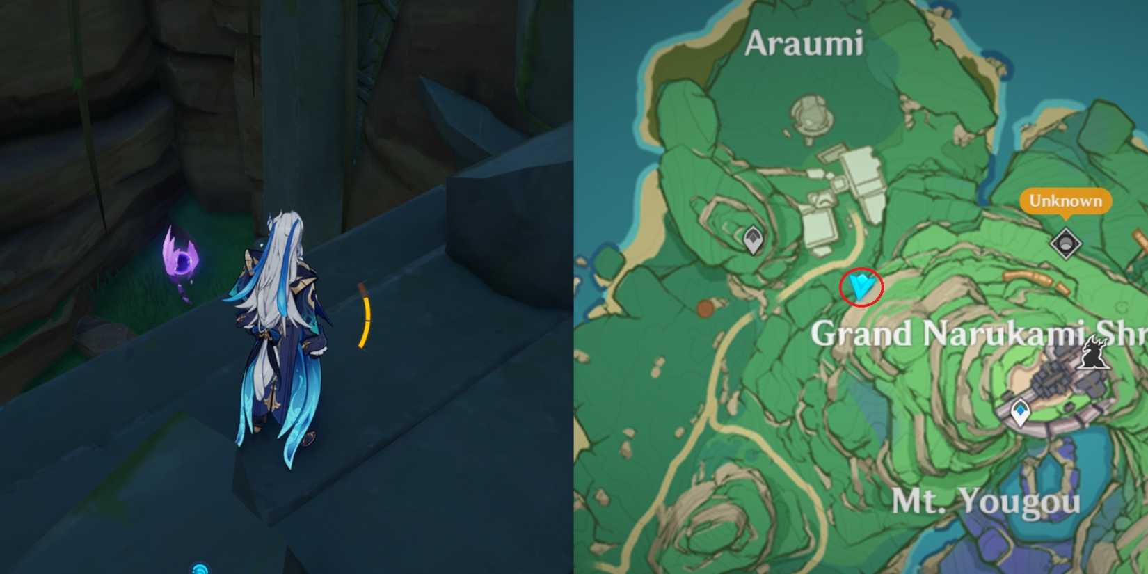 Narukami Island Electroculus Location 27