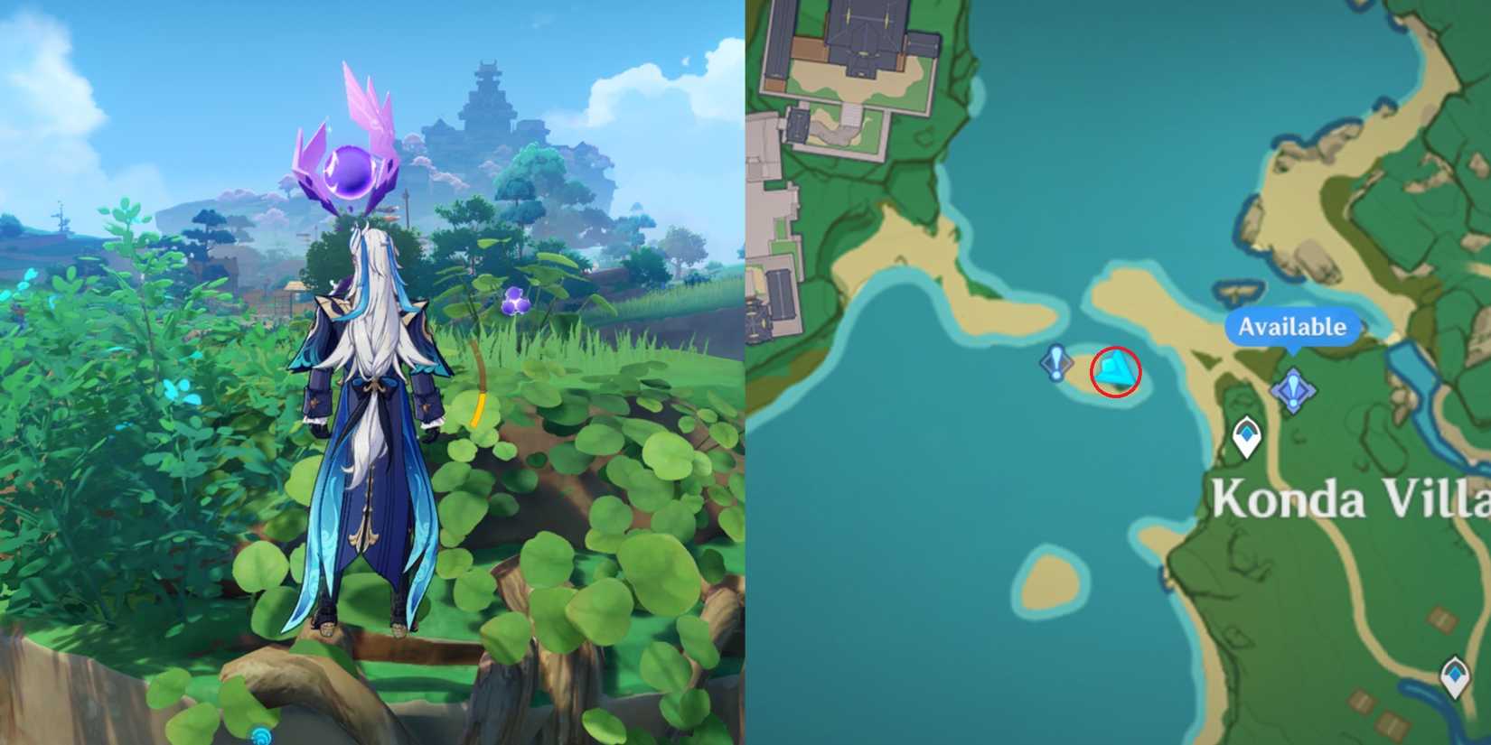 Narukami Island Electroculus Location 3