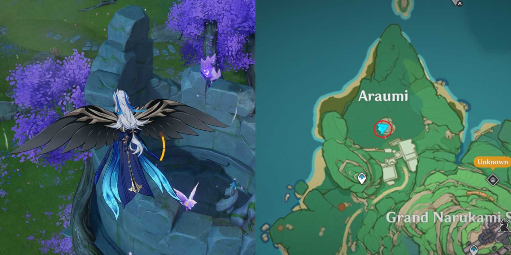 Narukami Island Electroculus Location 30