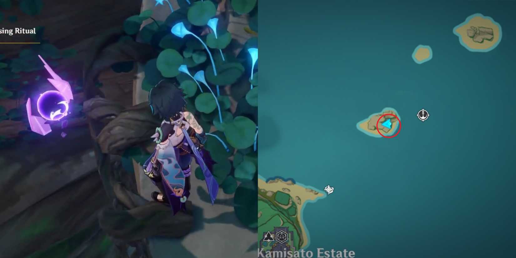 Narukami Island Electroculus Location 36