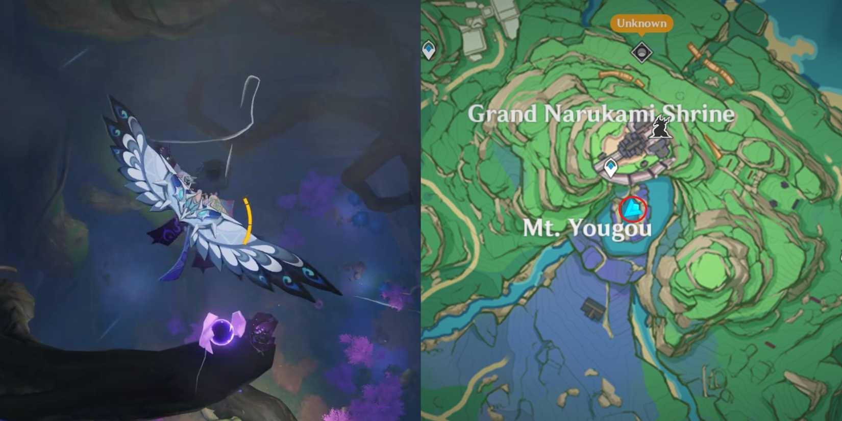 Narukami Island Electroculus Location 38