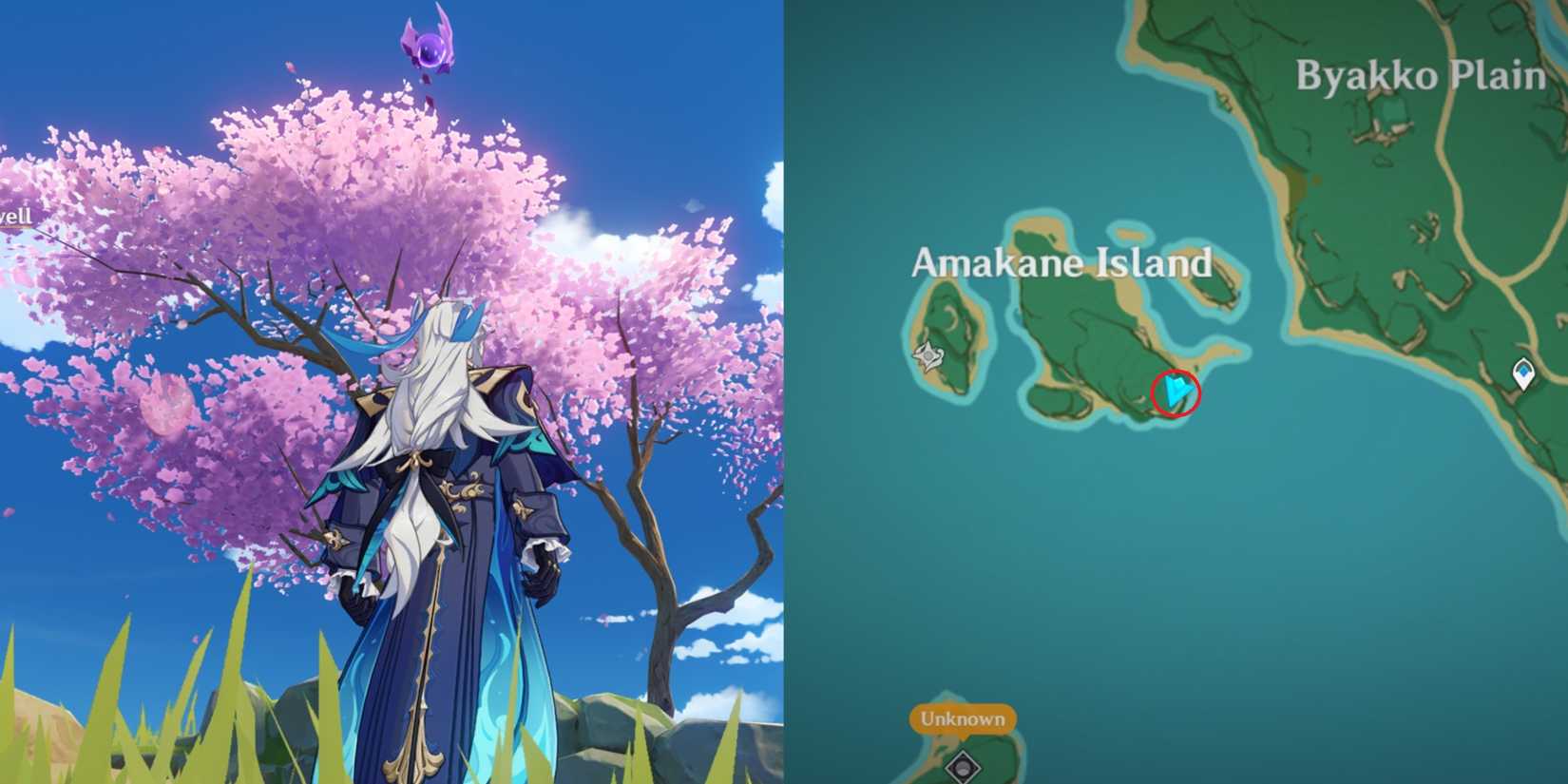 Narukami Island Electroculus Location 9