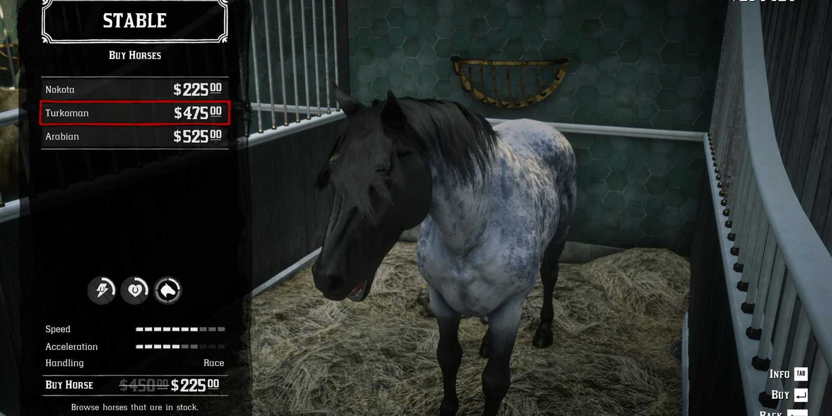 nokota reverse dapple roan