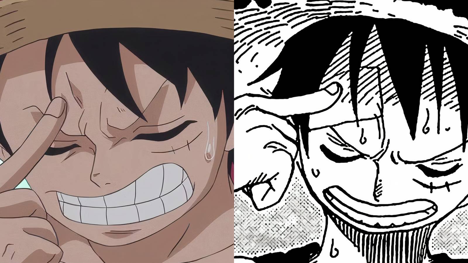 One Piece Anime Manga Luffy Thinking