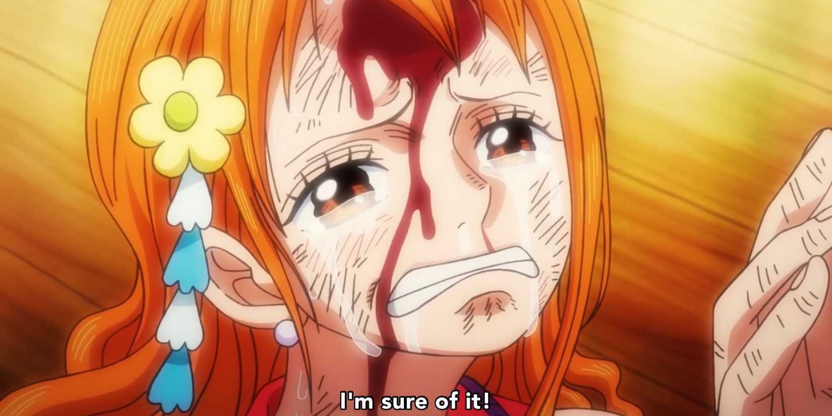 one-piece-nami-ulti-threat-4