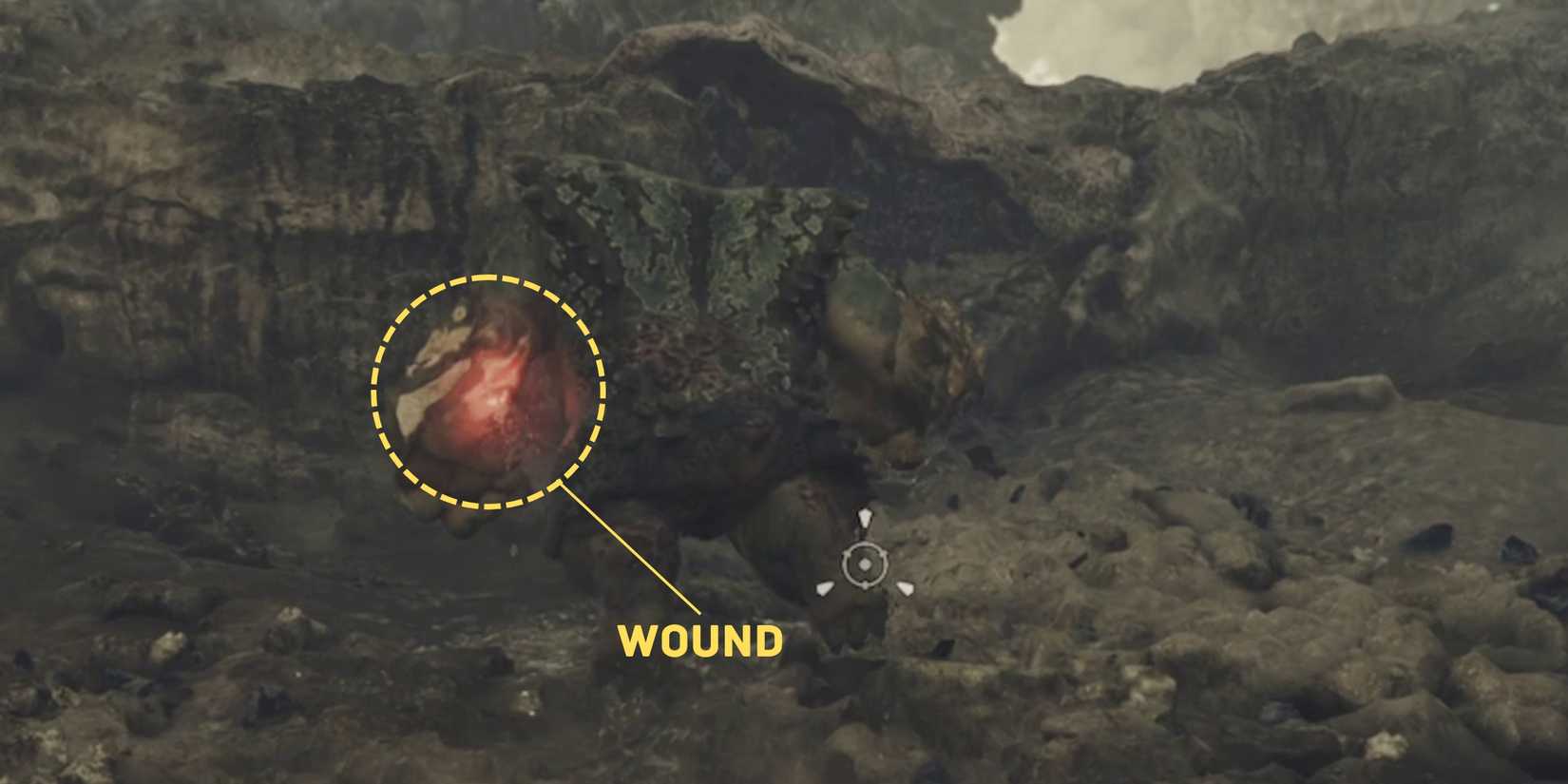 open wound on a monster in monster hunter wilds