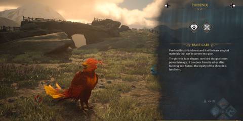 Phoenix in Hogwarts Legacy Mountain Vivarium
