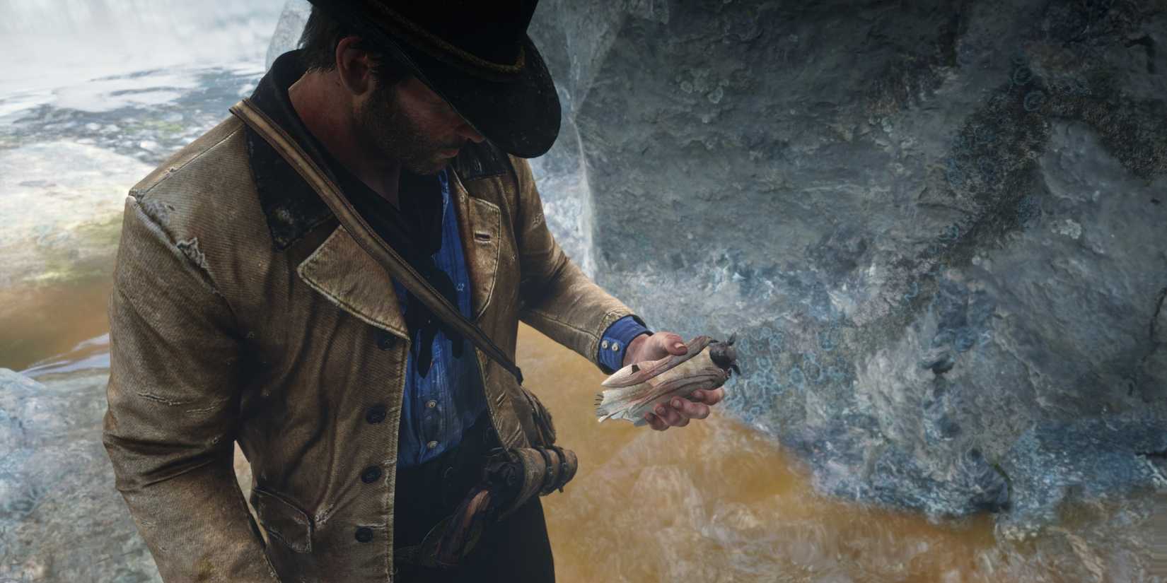 picking up a little brown bat