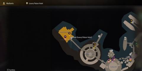 pirate yakuza in hawaii luxury palace hotel photo rally