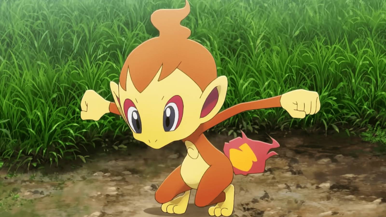 pokemon-fan-artist-crochets-chimchar-monferno-infernape-dolls