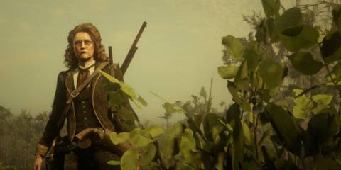 Red-Dead-Online-Picking-Herbs (1)