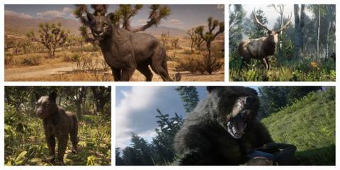Red Dead Redemption 2 7 Hardest Animals To Hunt Featured Image