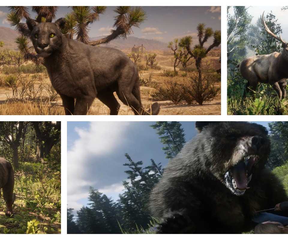 Red Dead Animals Ranges Open-World Games With The Best Hunting Mechanics